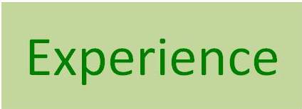 Experience